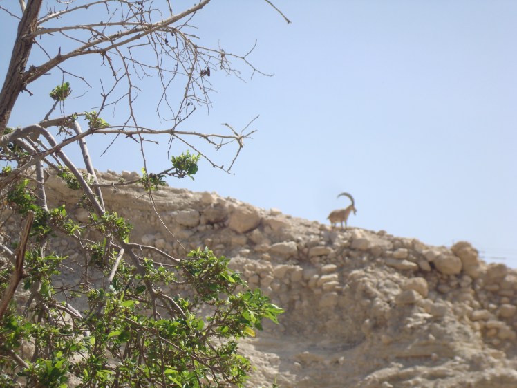 Faithbased Tour To The Holyland