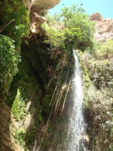 Faithbased Tour To The Holyland