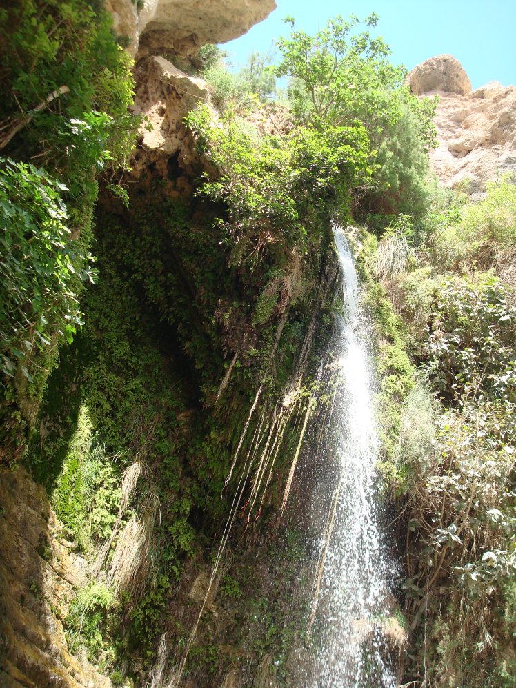 Faithbased Tour To The Holyland