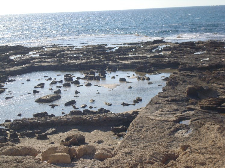 Faithbased Tour To The Holyland