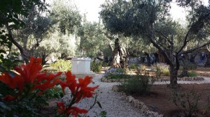 Faithbased Tour To The Holyland