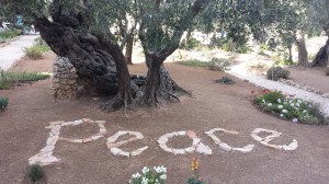 Faithbased Tour To The Holyland