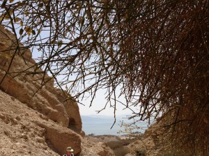 View From En Gedi to the Dead Sea