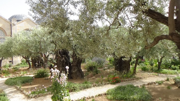 Garden of Gethsemane