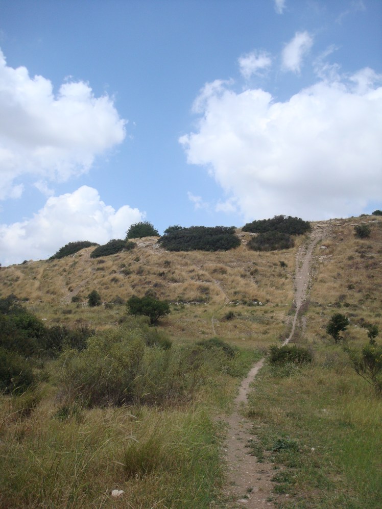 Pathway To Hillside Of Israelite Encampment