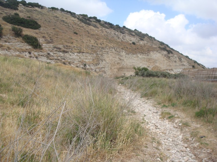 Creek Bed In Valley of Elah