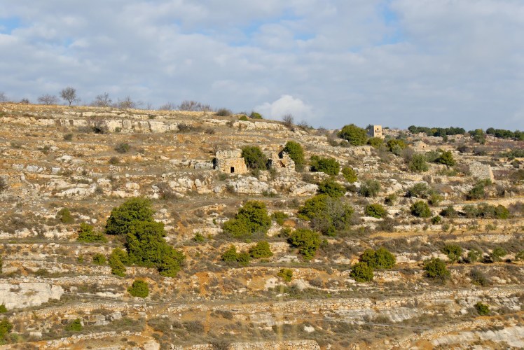 terraced-hillside-near-bethlehem-tb010107217