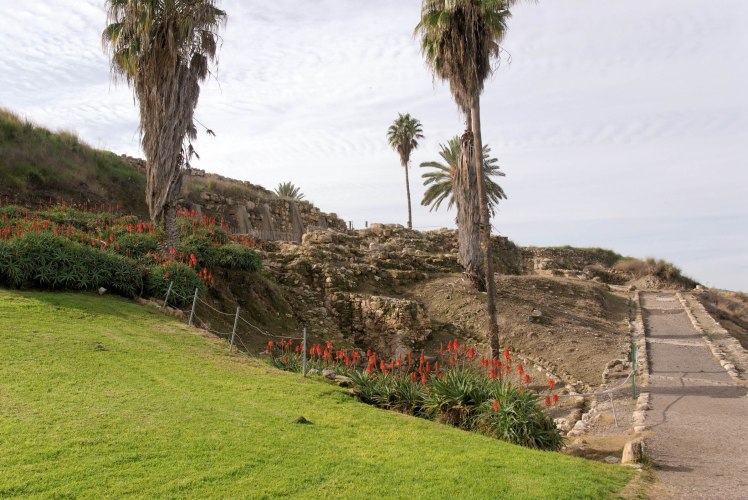megiddo-iron-age-outer-gate-area-tb011210433