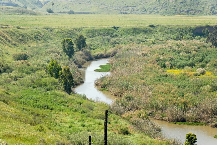Jordan River near Peace Island, tb033007185